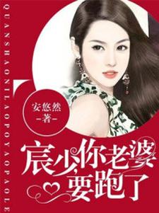 宸少你老婆要跑了动漫