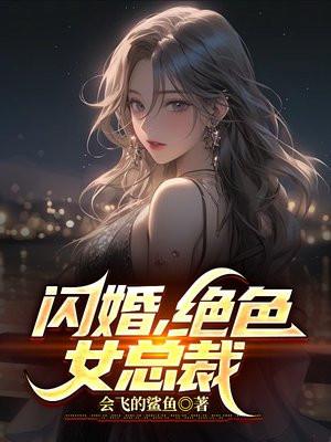 闪婚，高冷美女总裁