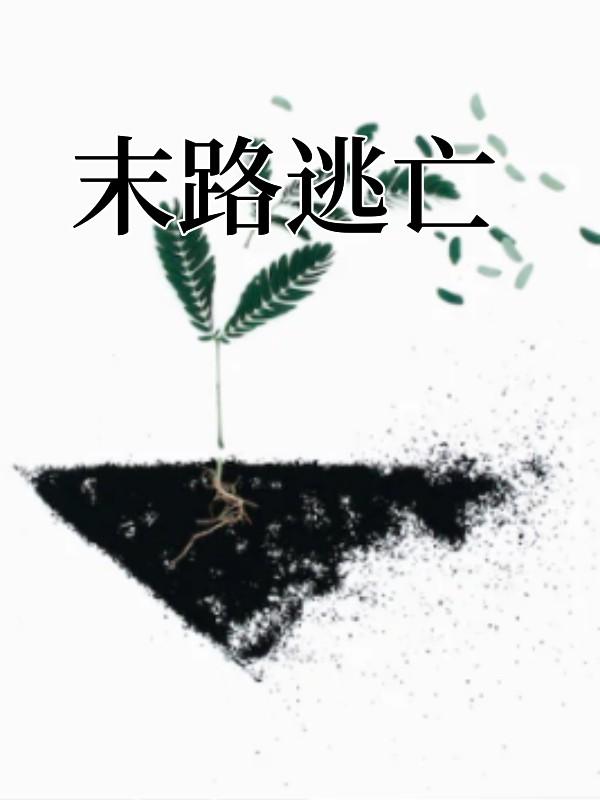 范易花姐