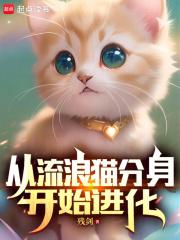 从流浪猫分身开始进化